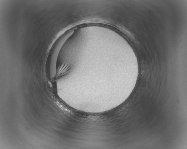 X0000079581264200612301357