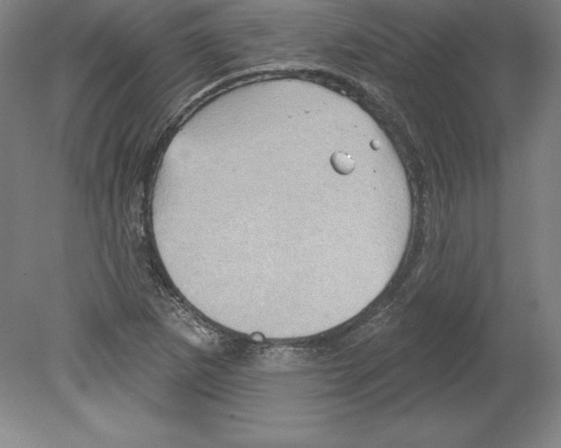 X0000079581265200612301357