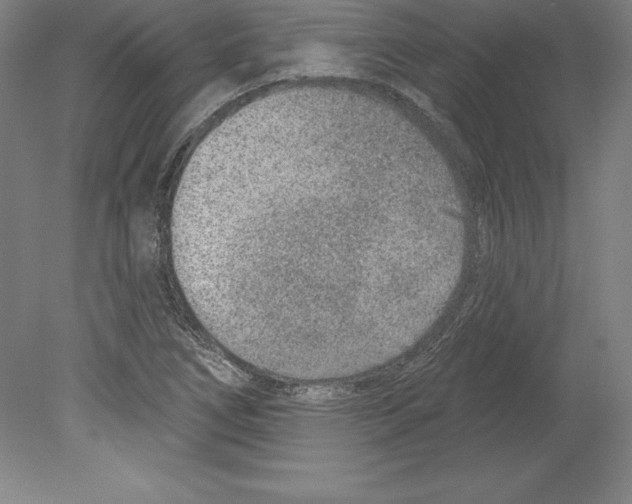 X0000079581266200612301357