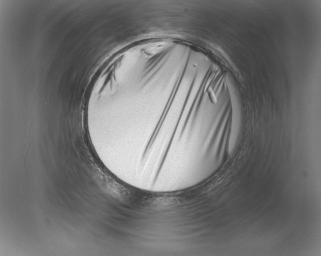 X0000079581268200612301357