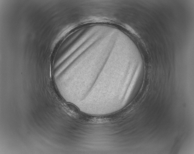 X0000079581269200612301357