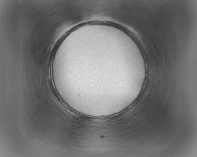 X0000079581271200612301357