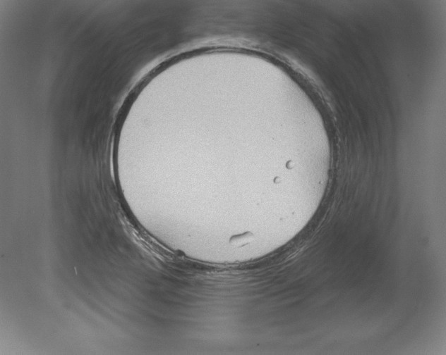 X0000079581272200612301357