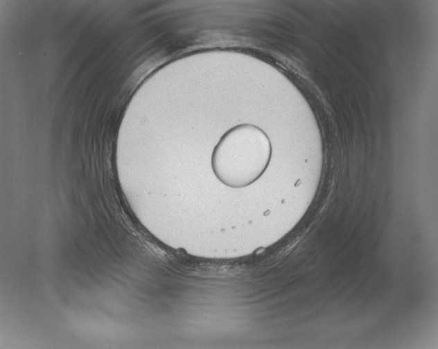 X0000079581273200612301357