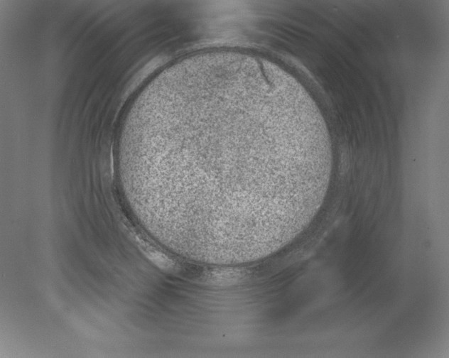 X0000079581274200612301357