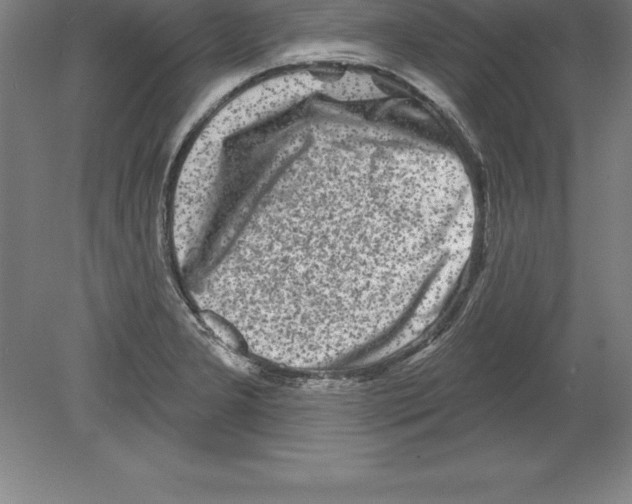 X0000079581277200612301357