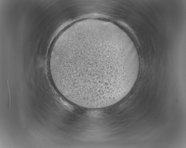 X0000079581278200612301357