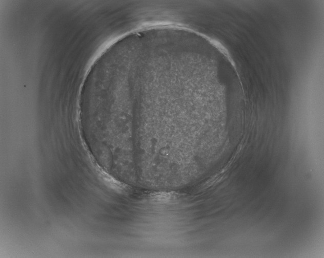 X0000079581279200612301357