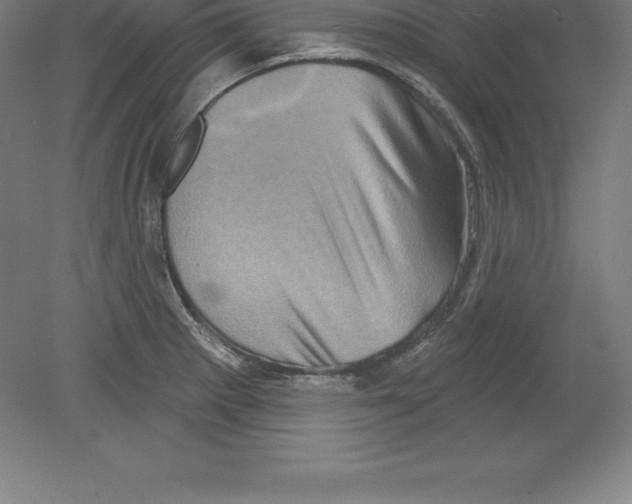 X0000079581281200612301357