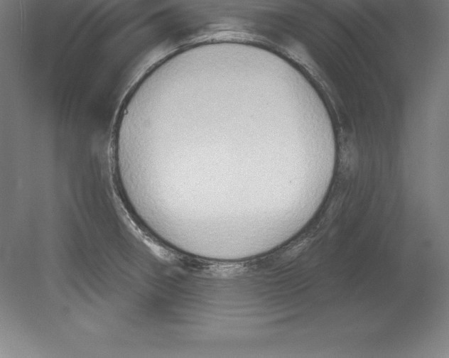 X0000079581282200612301357