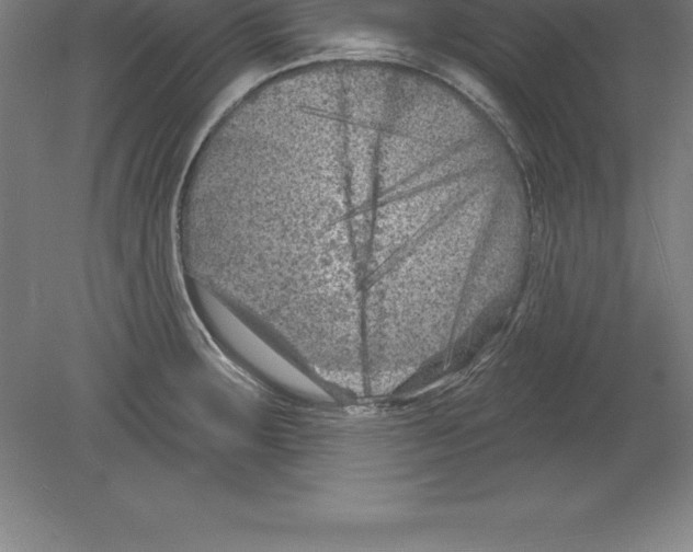 X0000079581283200612301357