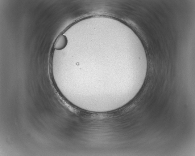 X0000079581286200612301357