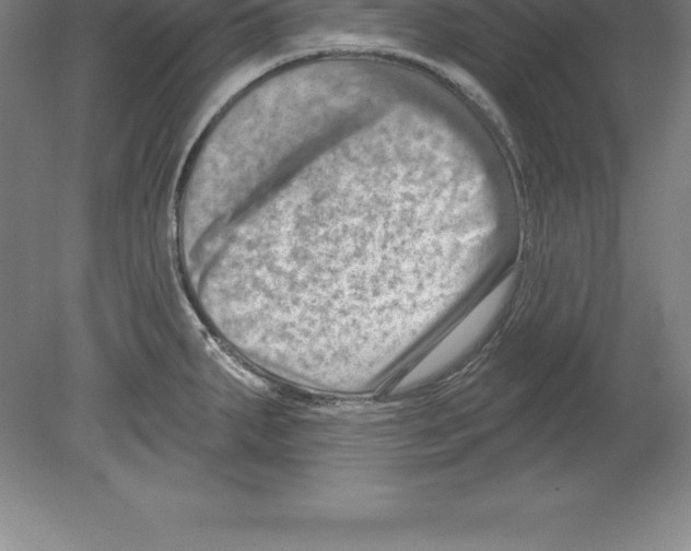 X0000079581287200612301357