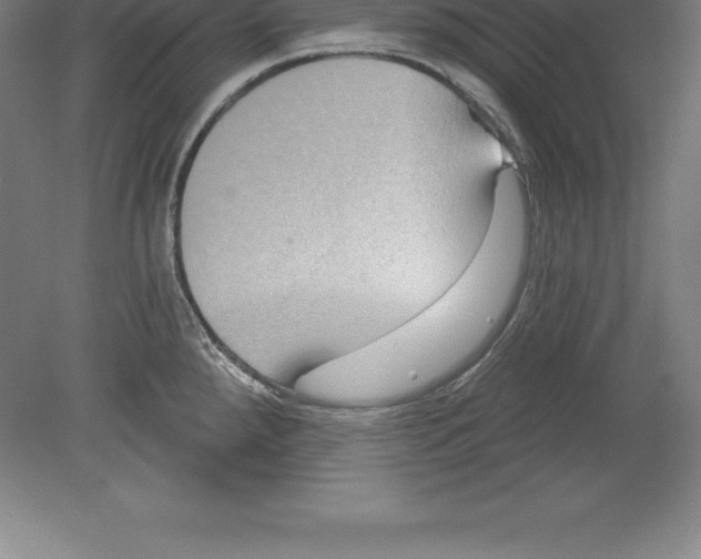 X0000079581288200612301357