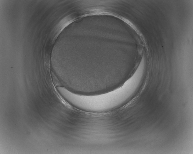 X0000079581289200612301357