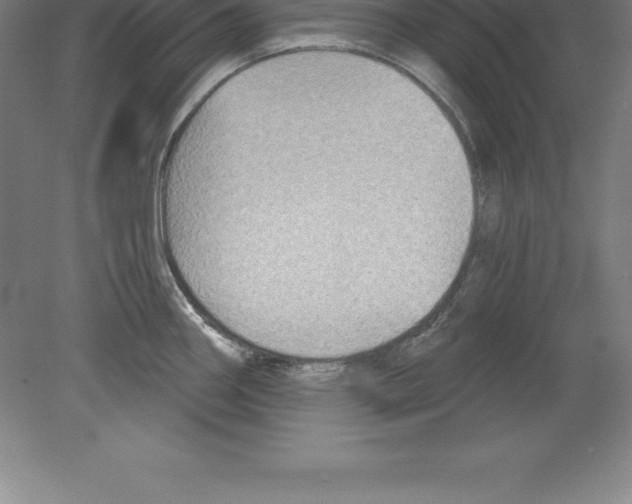 X0000079581290200612301357