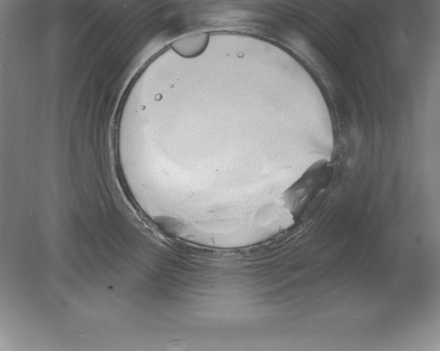 X0000079581291200612301357