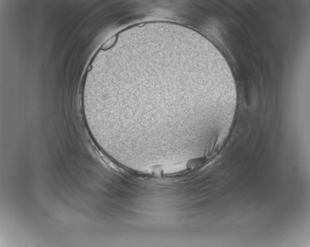 X0000079581292200612301357