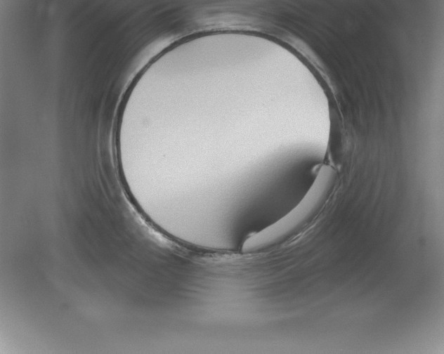 X0000079581293200612301357