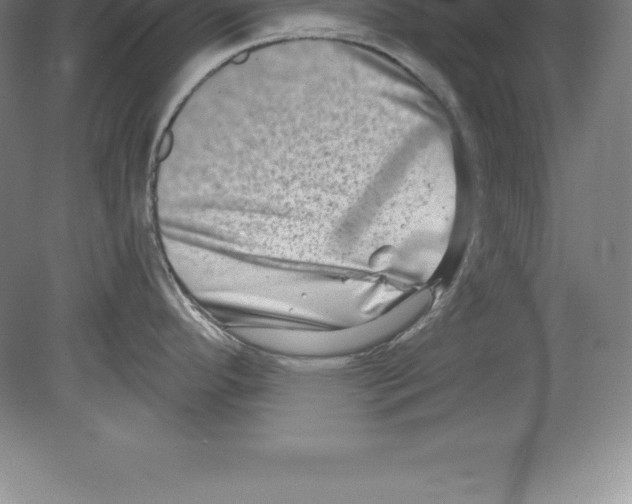 X0000079581296200612301357