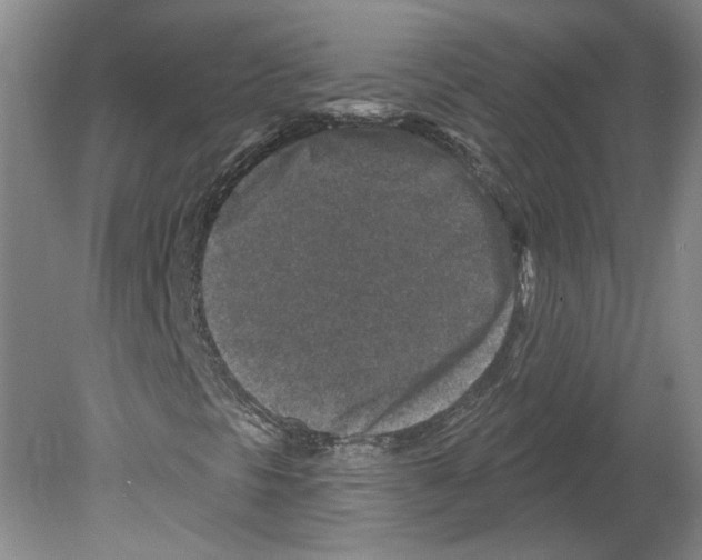 X0000079581297200612301356