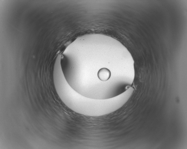 X0000079581298200612301356