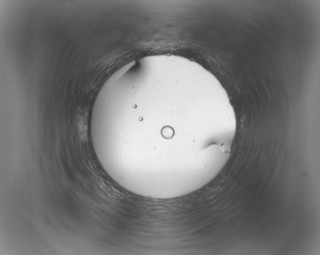 X0000079581300200612301356