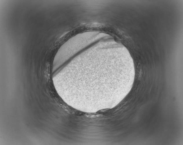 X0000079581301200612301356