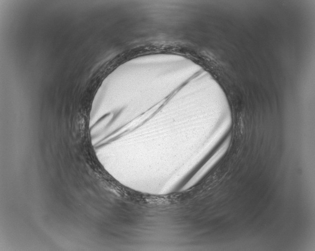 X0000079581302200612301356