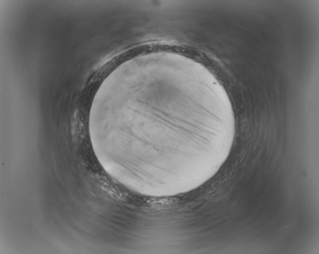 X0000079581303200612301356