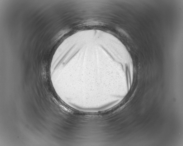 X0000079581305200612301356