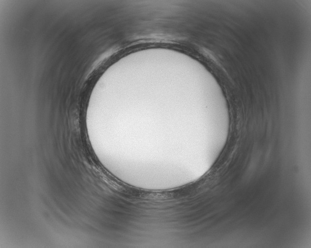 X0000079581307200612301356