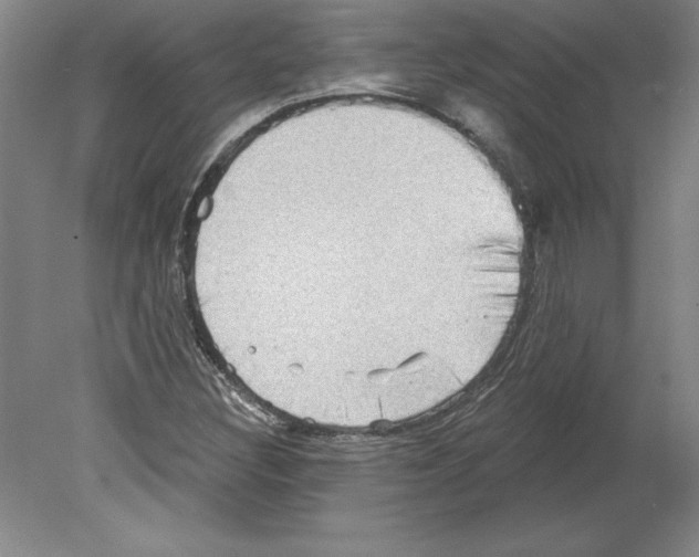 X0000079581308200612301356