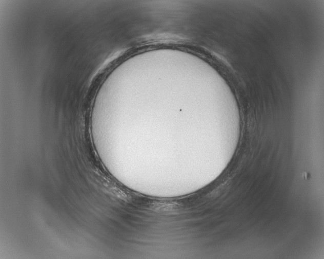 X0000079581309200612301356