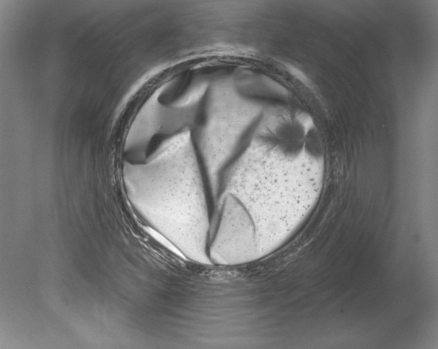 X0000079581310200612301356