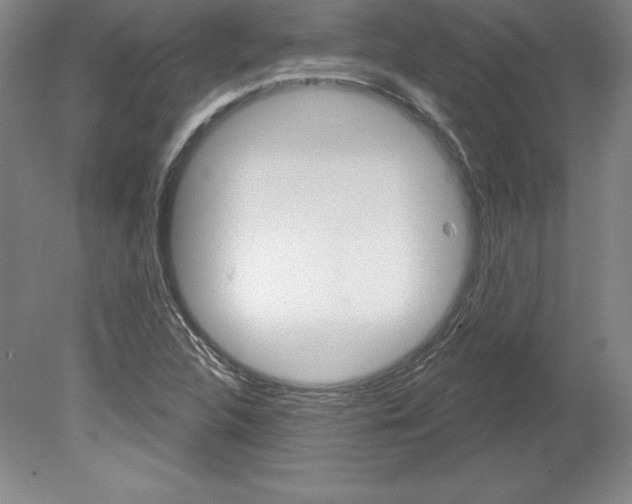 X0000079581312200612301356