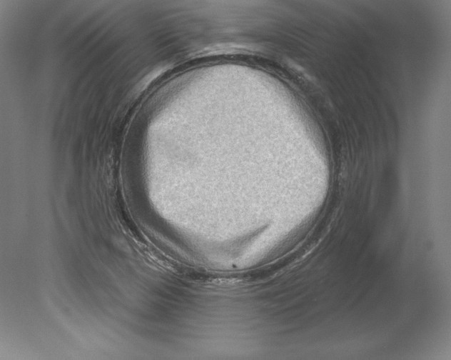 X0000079581313200612301356