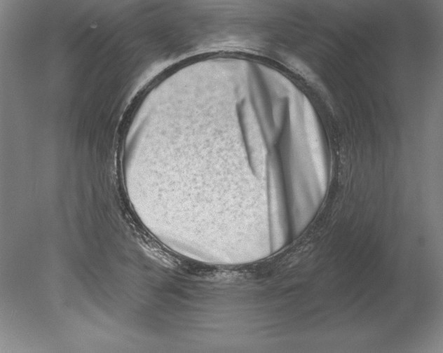 X0000079581316200612301356