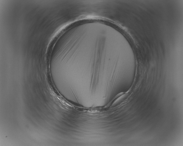 X0000079581319200612301356