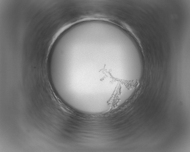 X0000079581320200612301356