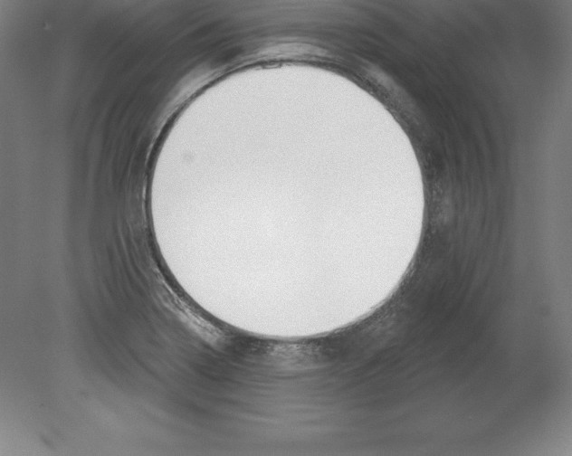 X0000079581322200612301356