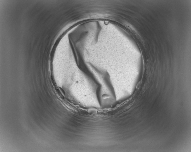 X0000079581324200612301356