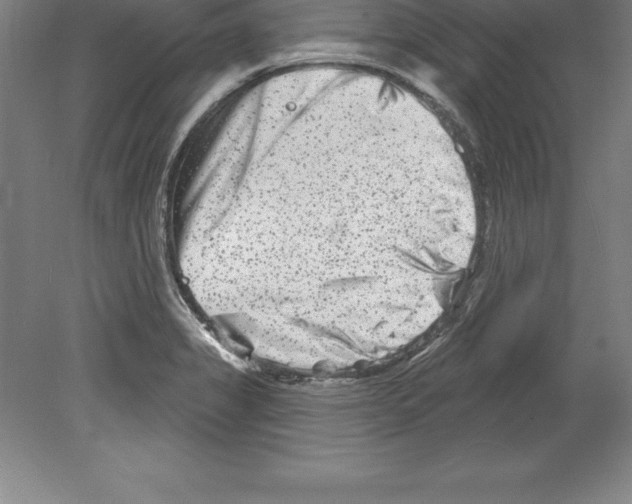 X0000079581325200612301356