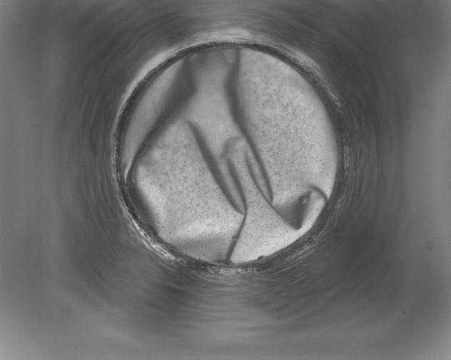 X0000079581326200612301357