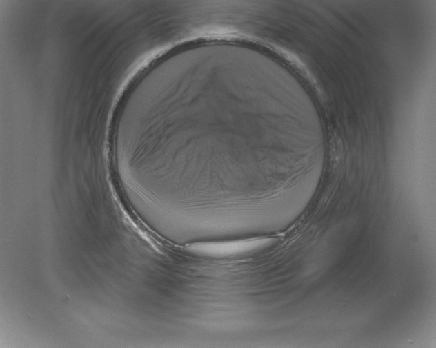 X0000079581327200612301357