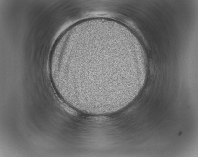 X0000079581328200612301357