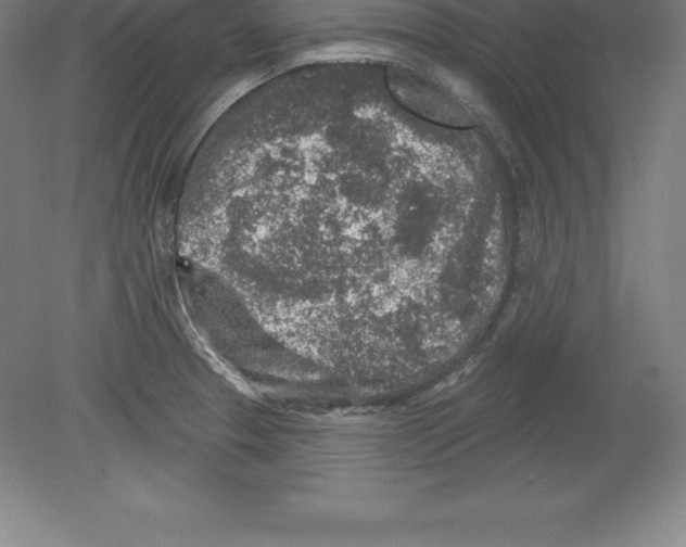 X0000079581329200612301357