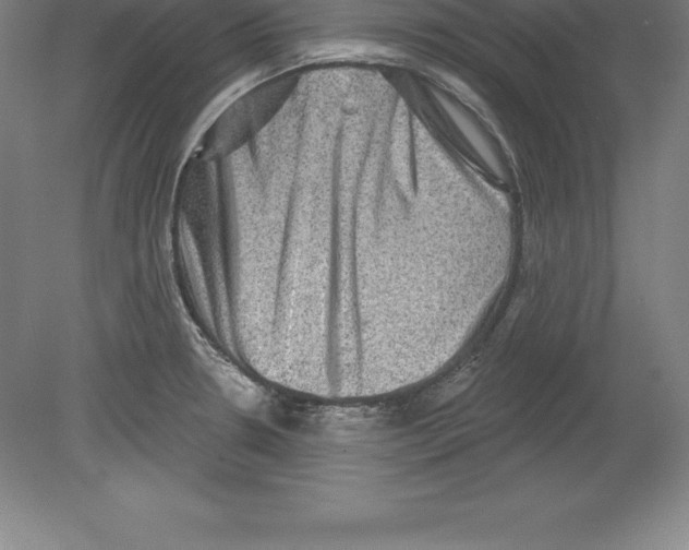 X0000079581330200612301357