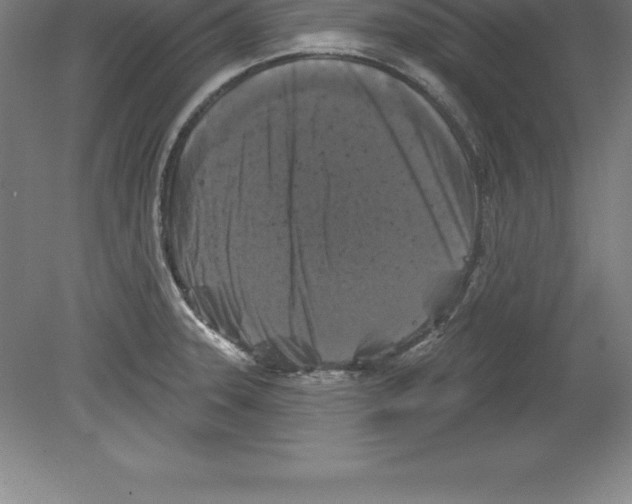 X0000079581331200612301357