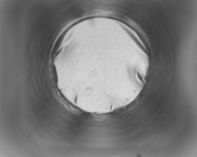 X0000079581332200612301357